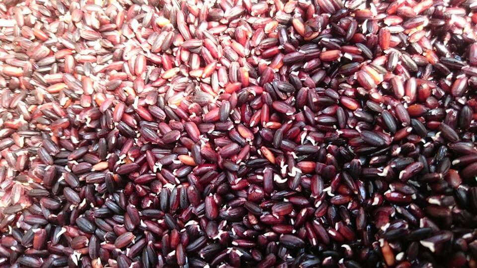 黒米の発芽玄米